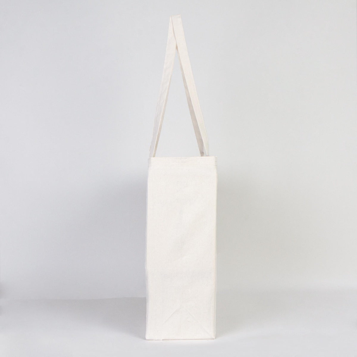 Mega Büyük Boy Bez Çanta - Tam Körüklü 55x38x15 cm - istecanta.com
