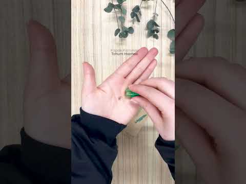 Ahşap Tohumlu Naturel Kurşun Kalem 569