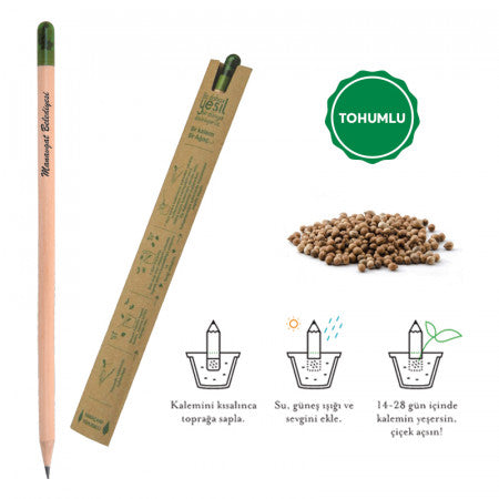 Ahşap Tohumlu Naturel Kurşun Kalem 569 - istecanta.com